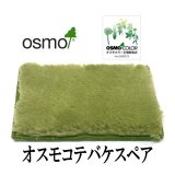ＯＳＭＯ　オスモ コテバケスペア　【送料別】